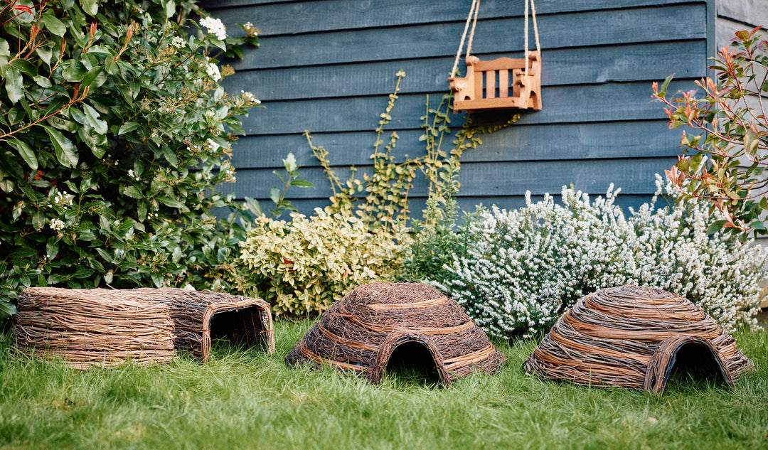 Revitalise Your Outdoor Space: Spring Gardening Ideas