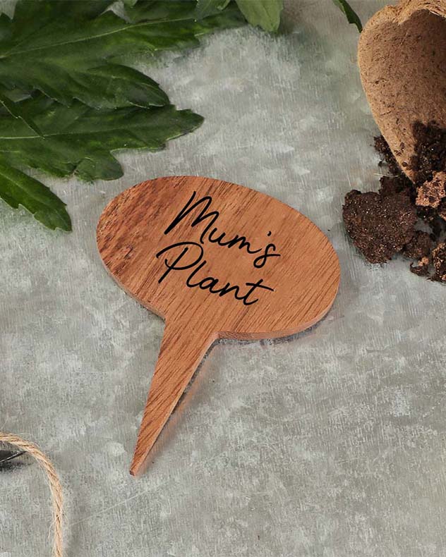 Set of Three Personalised Wooden Plant Markers