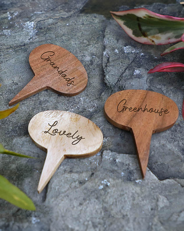 Set of Three Personalised Wooden Plant Markers