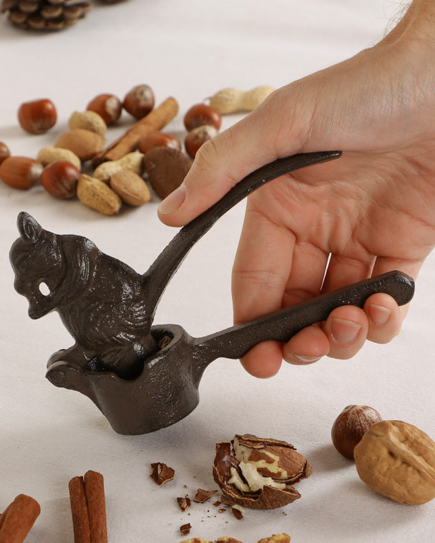 Squirrel Nutcracker in hand
