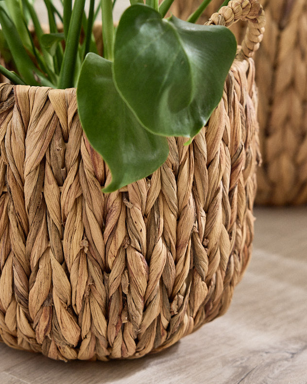 Set of 2 Water Hyacinth Basket Planters