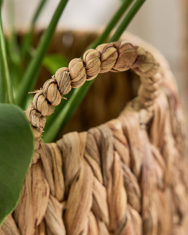 Set of 2 Water Hyacinth Basket Planters