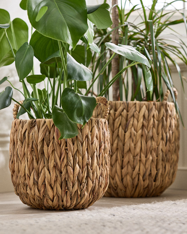 Set of 2 Water Hyacinth Basket Planters