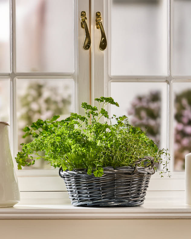Small Round Wicker Tray Basket