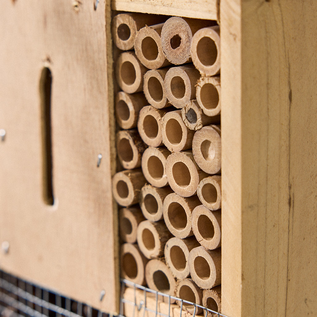 New Forest Large Insect Hotel