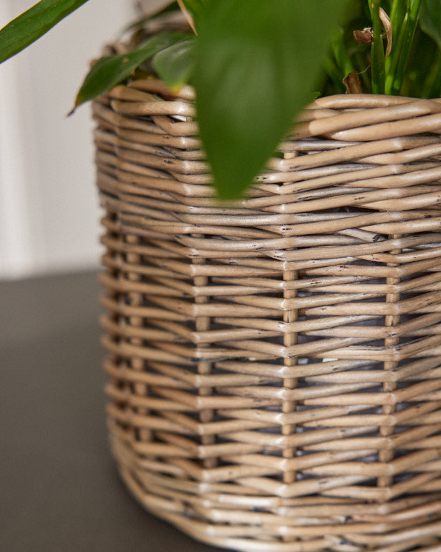 Round Wicker Planter Basket