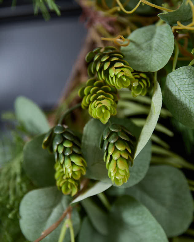 Couronne de haie d'eucalyptus