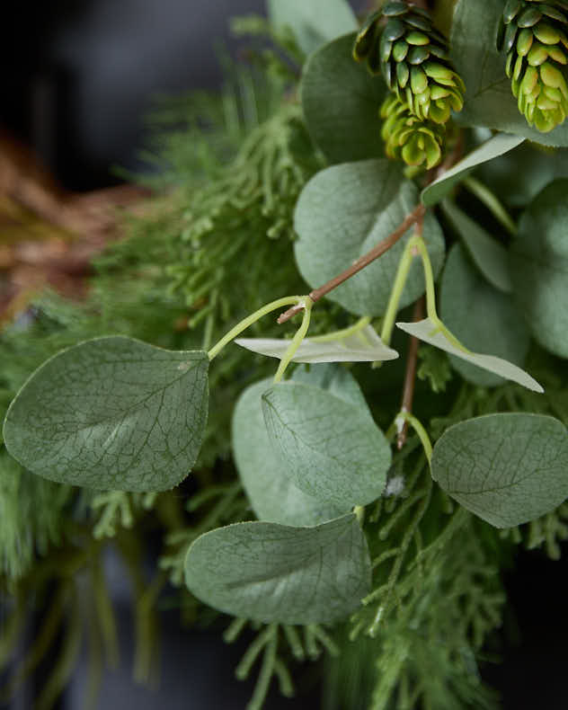 Couronne de haie d'eucalyptus