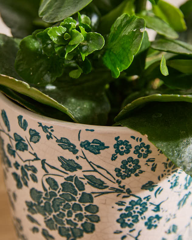 Set of 2 Green Meadow Planters