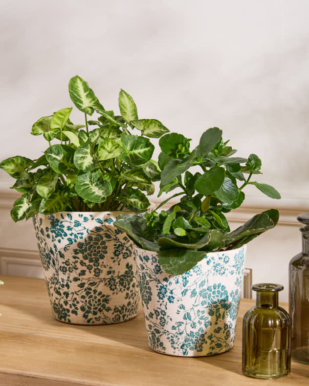 Set of 2 Green Meadow Planters