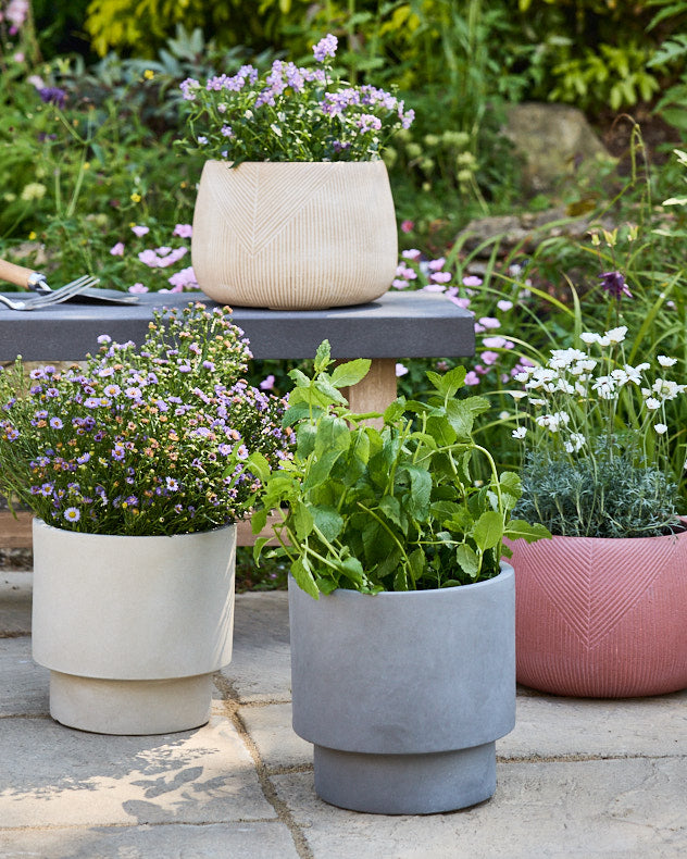 Fibre Clay Garden Planter Collection