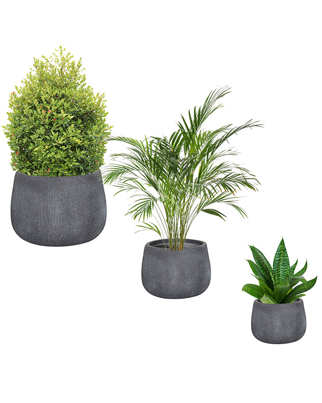 Kalo Set of 3 Grey Striped Planters