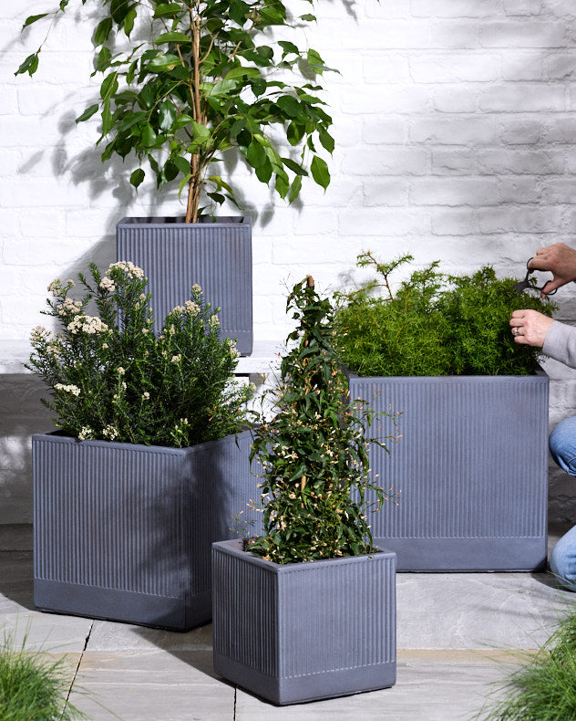 Agri Grey Ribbed Planter Collection