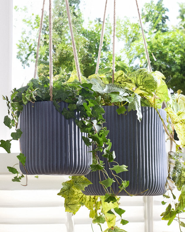 Grey hanging baskets discount