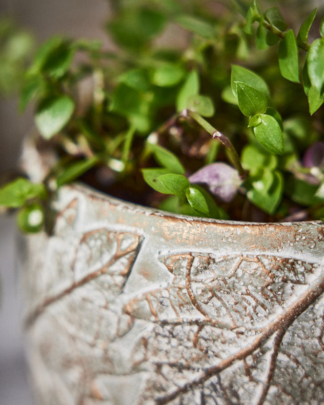 Daintree Small Plant Pot