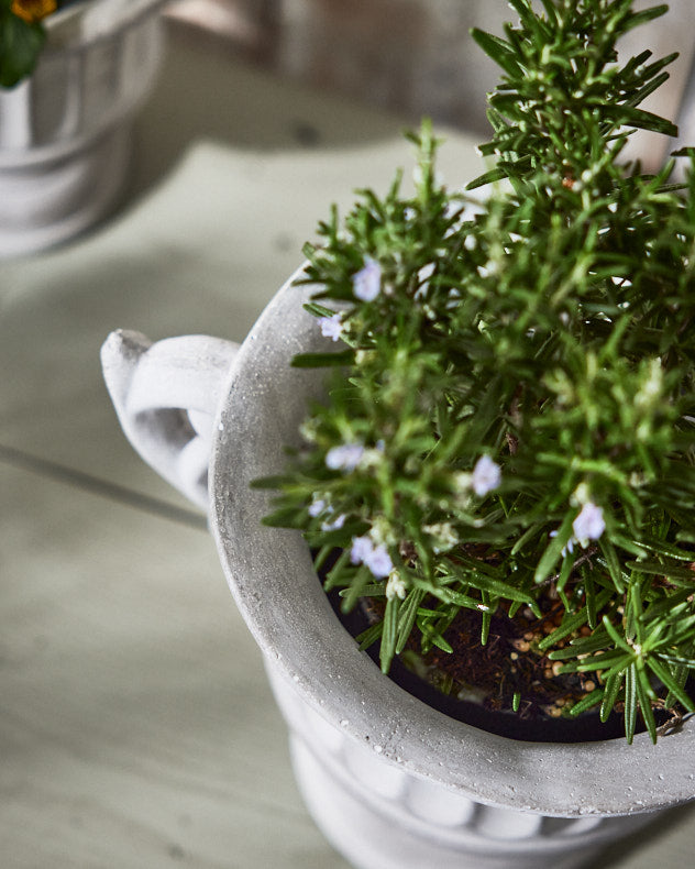Top view of Arcadia Large Plant Pot