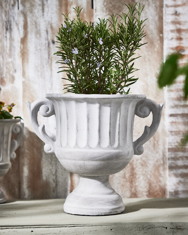 Arcadia Large Plant Pot