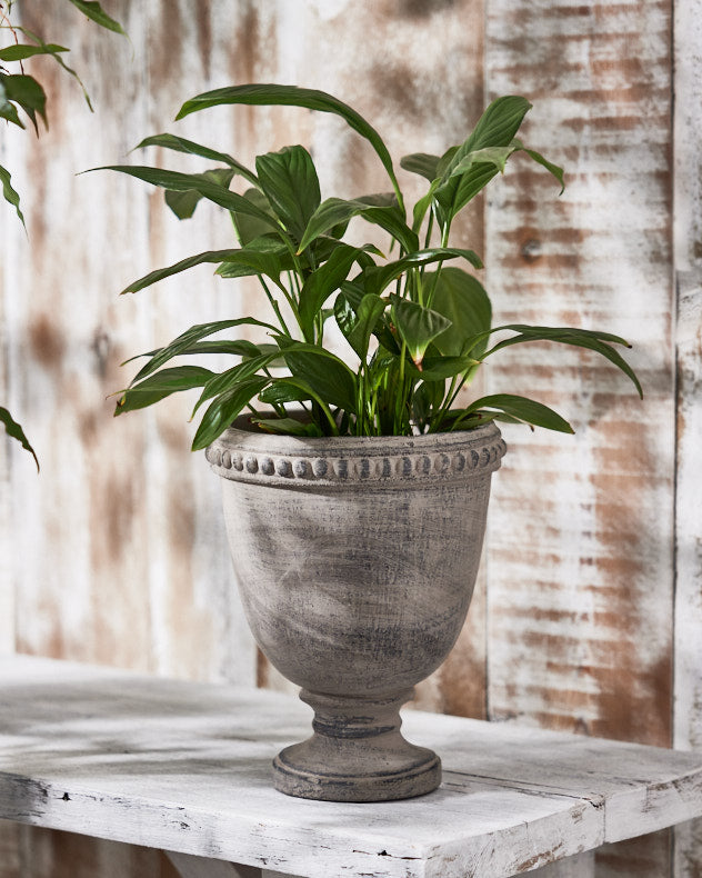 Olympia Plant Pot
