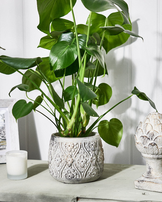 Bazille Floral Embossed Planters