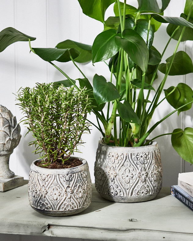 Bazille Floral Embossed Planters