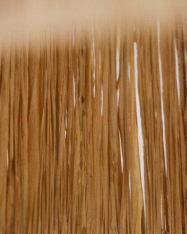 Third Image