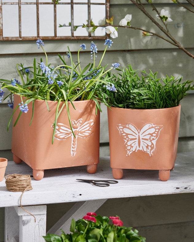 Akatsa Set of 2 Insect Embossed Terracotta Planters