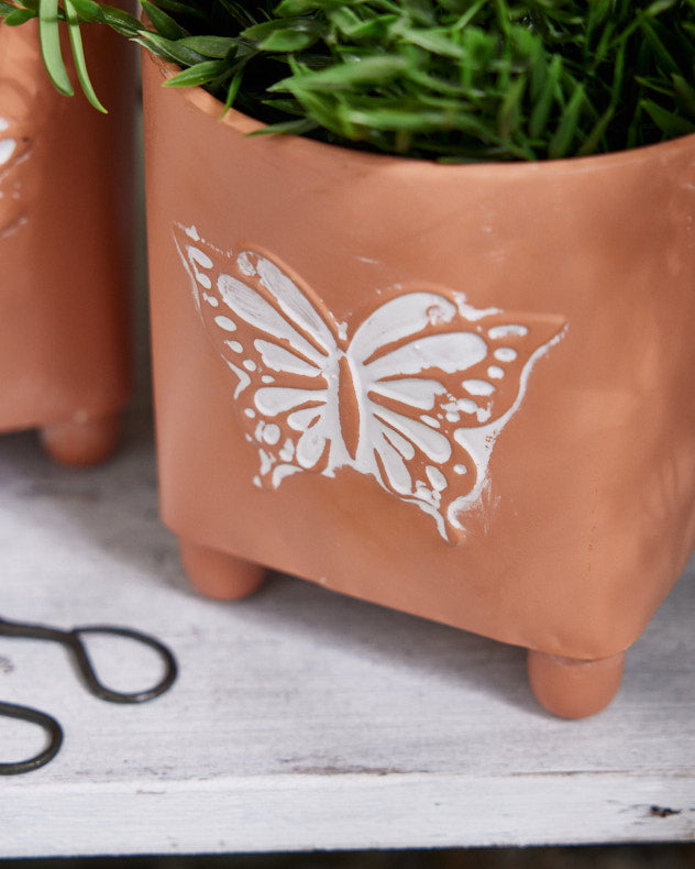 Akatsa Set of 2 Insect Embossed Terracotta Planters