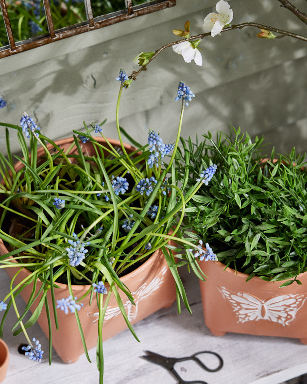 Akatsa Set of 2 Insect Planters top view