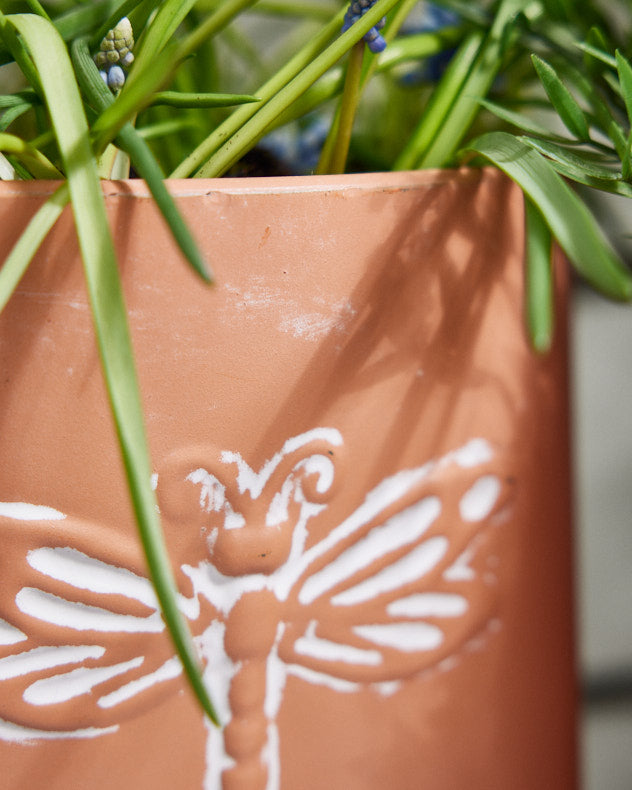 Akatsa Set of 2 Insect Embossed Terracotta Planters