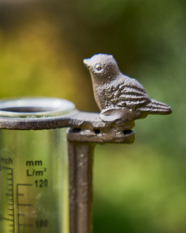 Cast Iron Standing Rain Gauge