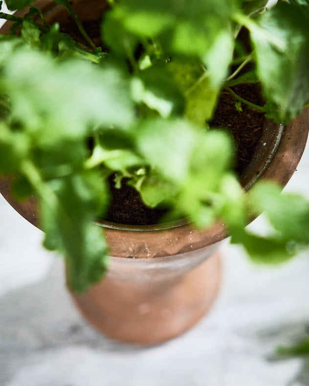 Top view of Almeria Rustic Urn Planter