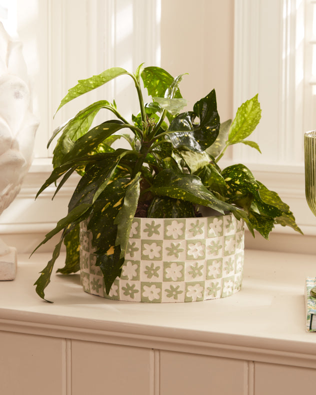 Green Floral Checkerboard Planters