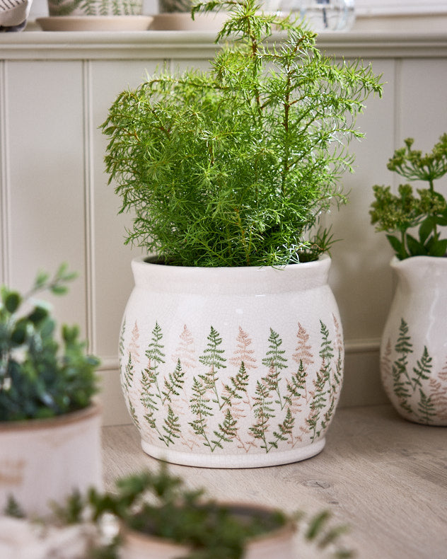 Varen Large Fern Plant Pot