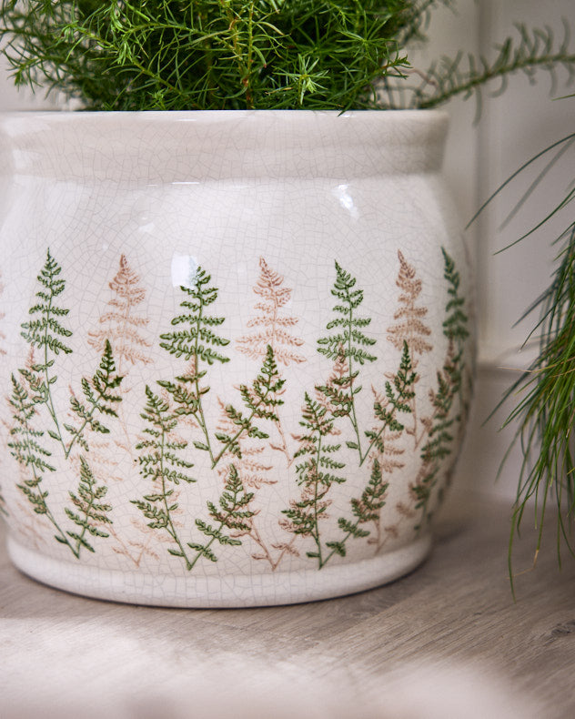 Varen Large Fern Plant Pot