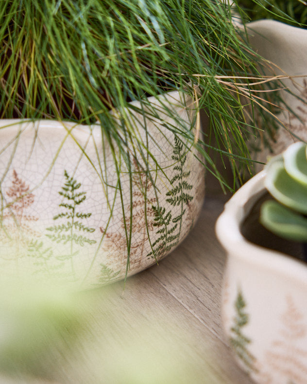 Varen Set of 3 Fern Planters