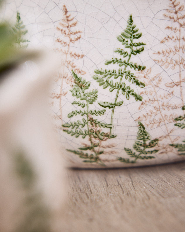 Varen Set of 3 Fern Planters