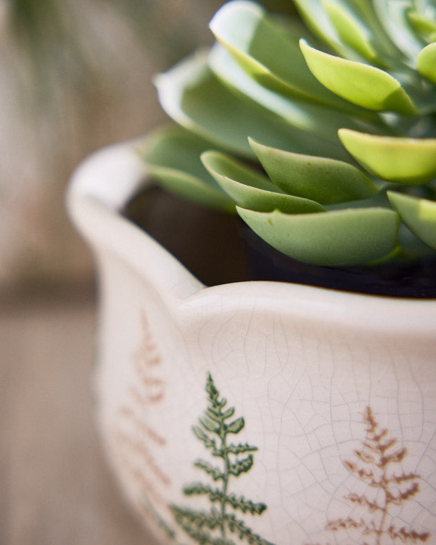 Varen Set of 3 Fern Planters