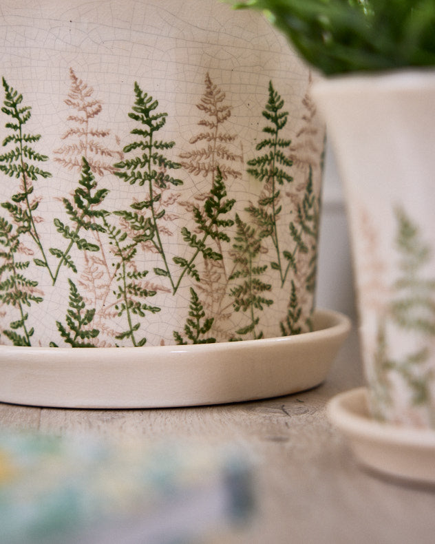 Varen Set of 2 Fern Planters with Trays