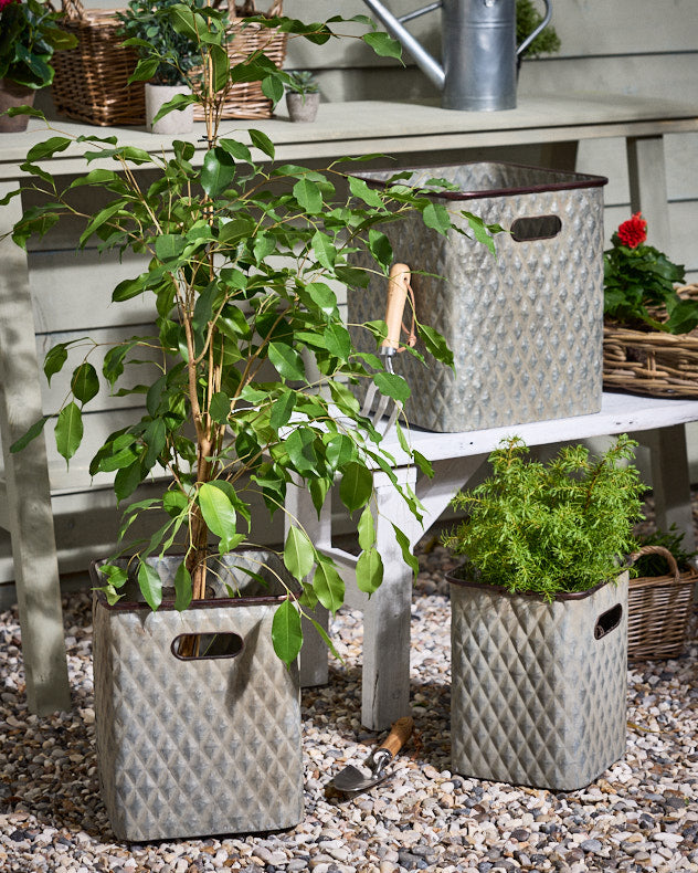 Levene Set of 3 Embossed Planters