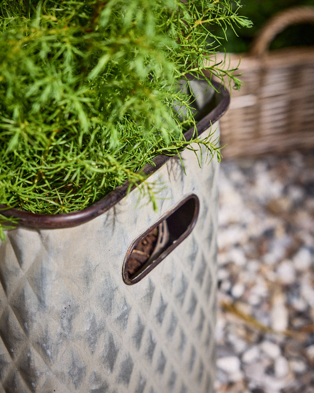 Levene Set of 3 Embossed Planters