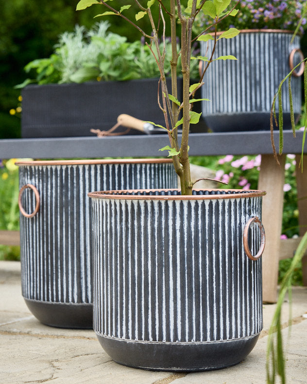 Tambara Set of 3 Ribbed Planters