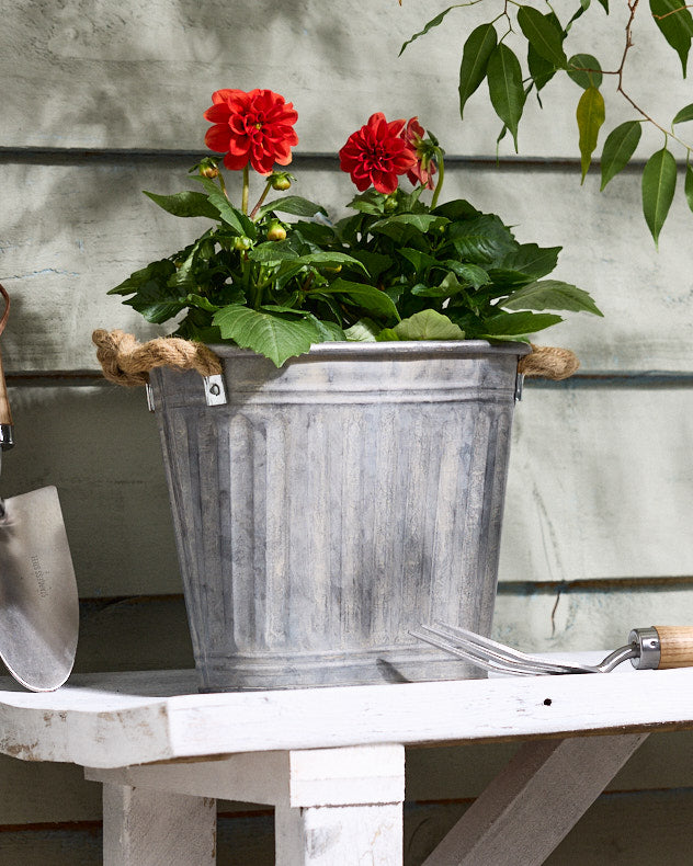 Toma Medium Metal Planter with Handles