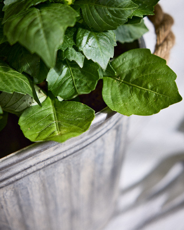 Toma Medium Metal Planter with Handles