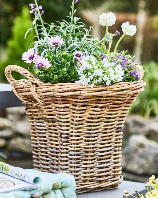 Pomona Fluted Basket Planters