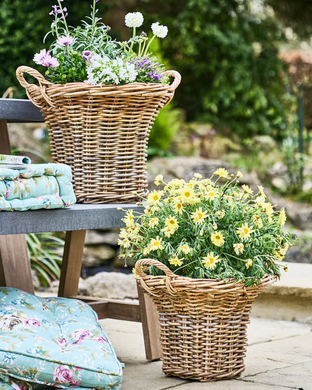 Pomona Fluted Basket Planters