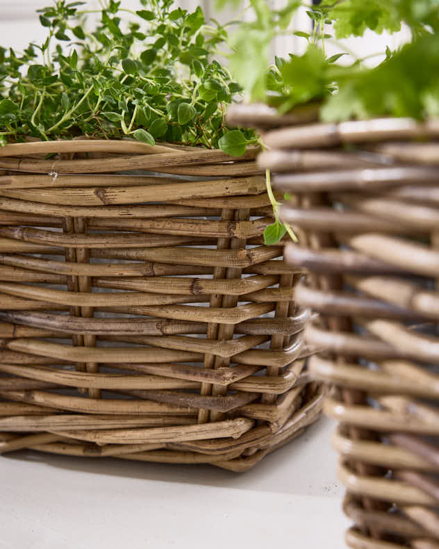 Square Lined Herb Planter Baskets