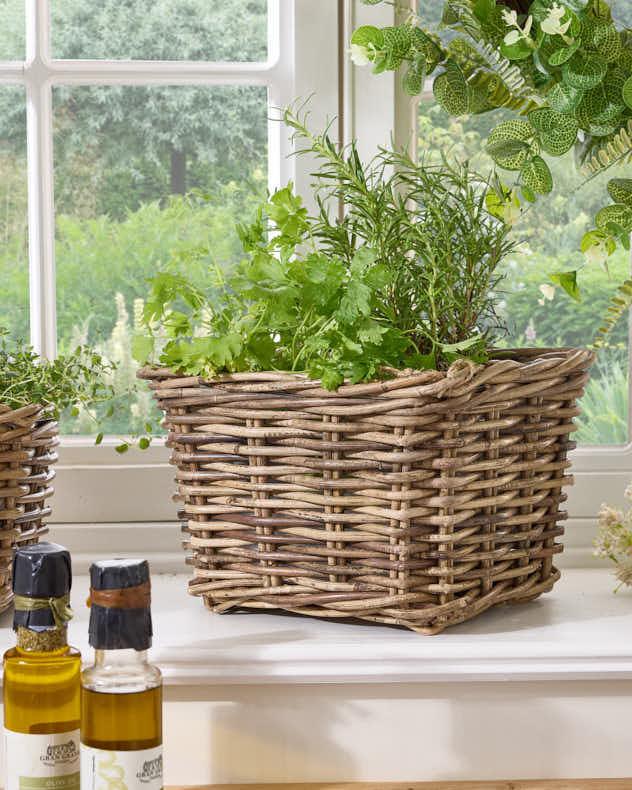 Square Lined Herb Planter Baskets
