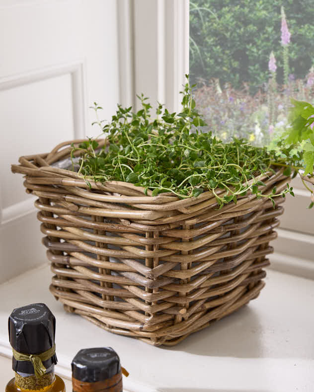 Square Lined Herb Planter Baskets