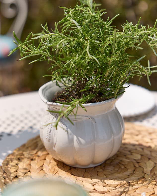 Radway White Plant Pot