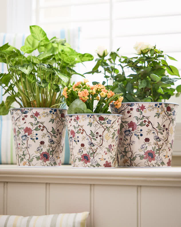 Set of 3 Victorian Style Botanical Planters